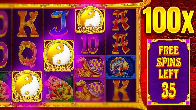 Gambling info site - 5 lions megaways 2